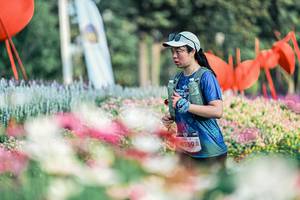 BIB: 
                            <button type="button" onclick="openModal(25933252)" class="btn btn-primary btn-sm float-right btn-popup" data-toggle="modal" data-target=".modal-high-quality">
                        <i class="fas fa-shopping-cart"></i> Add to Cart
                    </button>
                                            <button type="button" onclick="isThisMe(25933252, true)" class="btn btn-success btn-sm float-right btn-popup btn-isme hidden" data-toggle="tooltip" data-placement="bottom" title="นี่คือรูปของคุณใช่ไหม คลิกที่นี่เพื่อเอาเข้าอัลบั้ม">
                        <i class="fas fa-plus"></i> Add to album
                    </button>
                    <button type="button" onclick="isThisMe(25933252, false)" class="btn btn-warning btn-sm float-right btn-popup btn-isnotme hidden">
                        <i class="fas fa-ban"></i> Remove from album
                    </button>